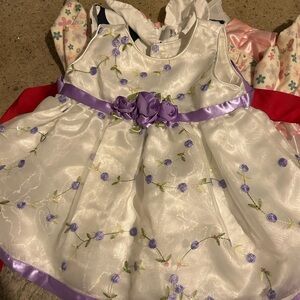 Youngland Baby Dress with Purple and Green Embroidery